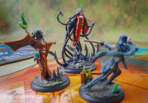 Shadows of Brimstone, Forbidden Fortress, FoFo, Soceress and Ninja vs Harionago, Miniatures, painted